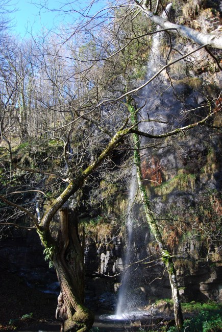 Cascada de Parada, afluente del r�o Louzara